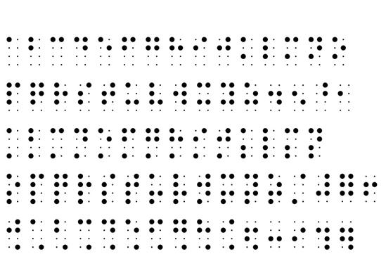 BrailleSlo 8dot