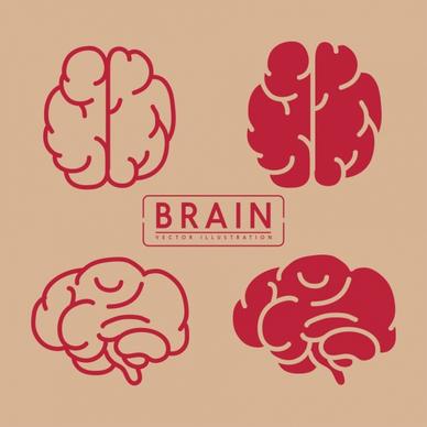 brain icons collection red flat design