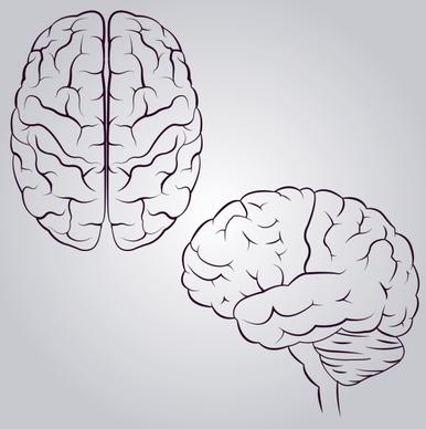 brain icons design monochrome sketch