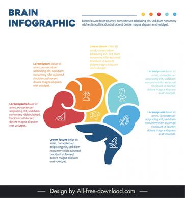 brain infographic design elements flat modern 