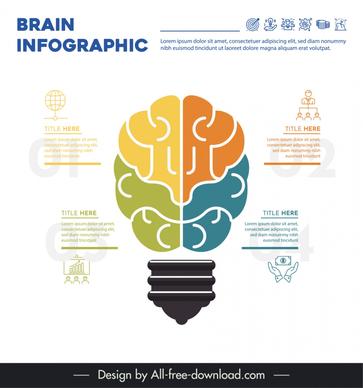 brain infographic design elements flat symmetric lightbulb layout