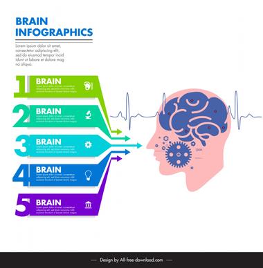 brain infographic template arrow chart gear cardiogram decor