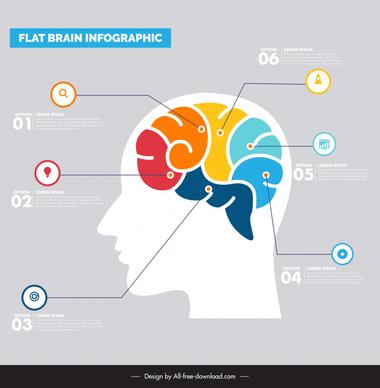 brain infographic template flat silhouette human head