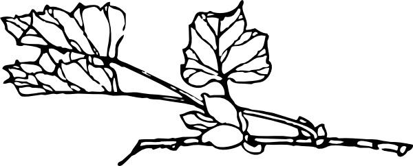 Branch With Flower clip art