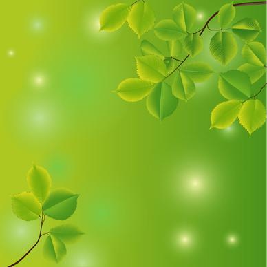 branches and leaves with green background vector