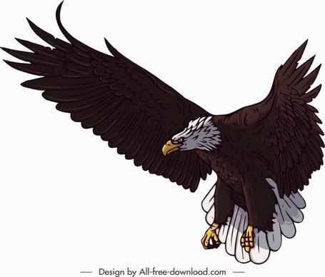 brave eagle icon colored cartoon sketch
