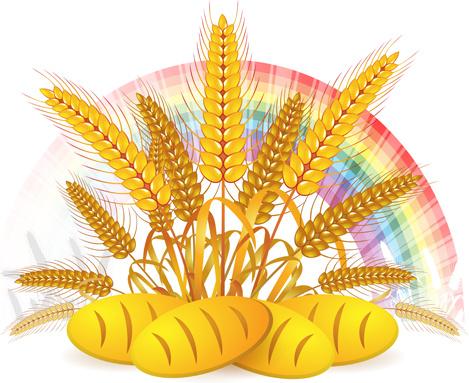 bread with wheat vector