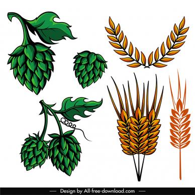 brewery design elements hops wheat sketch classical design