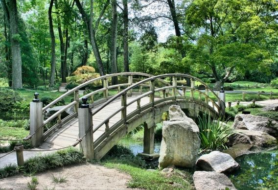 bridge japanese garden arch