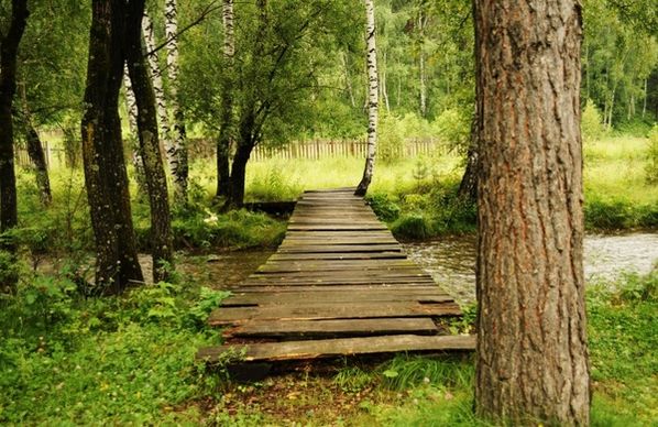 bridge wooden woods