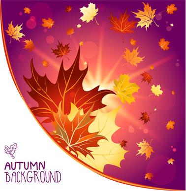bright autumn leaf backgrounds vector set