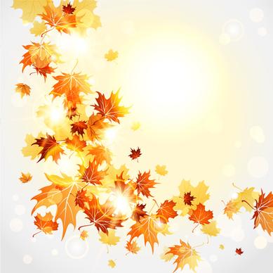 bright autumn leaves vector backgrounds