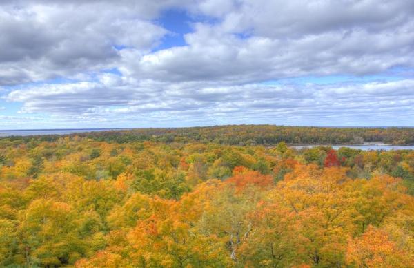 bright autumn trees at peninsula state park wisconsin