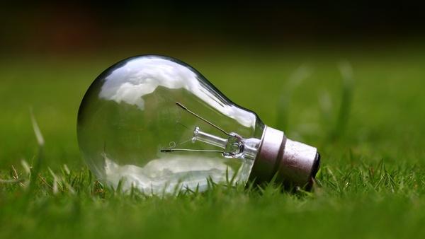 bright bulb business conceptual conservation eco