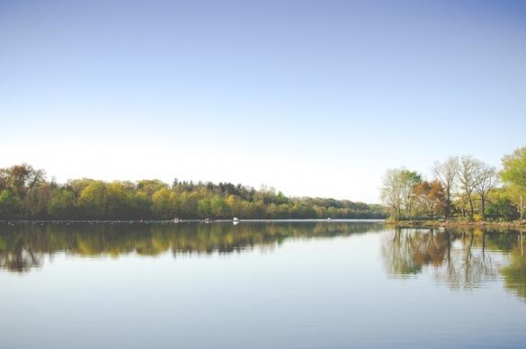 bright calm forest lake landscape mirror mist