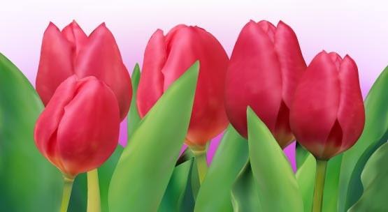 bright tulip 01 vector