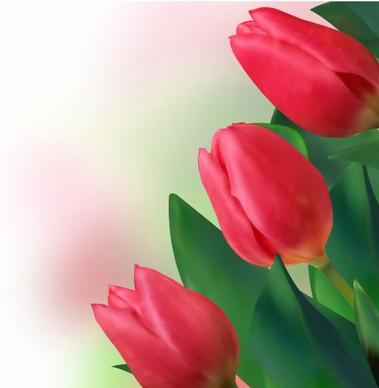bright tulips 02 vector