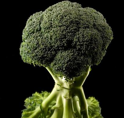 broccoli hd picture 2