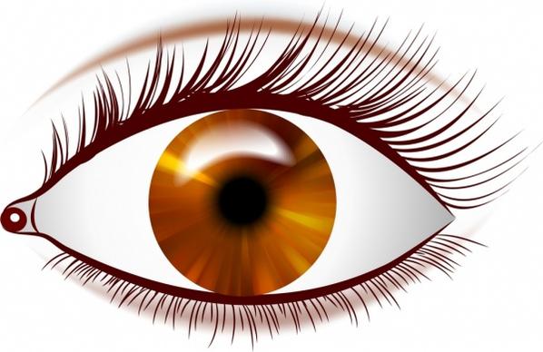 brown eye icon closeup bright design