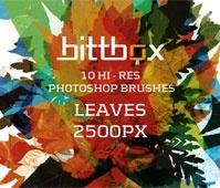 Brushes – Leaves