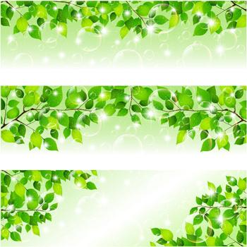 bubble and tree leaves vector background