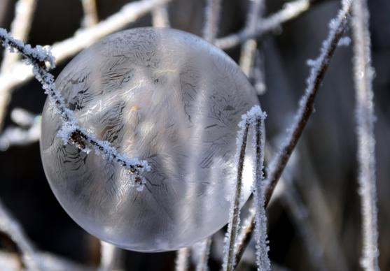 closeup of transparent crystal ball on snow tree