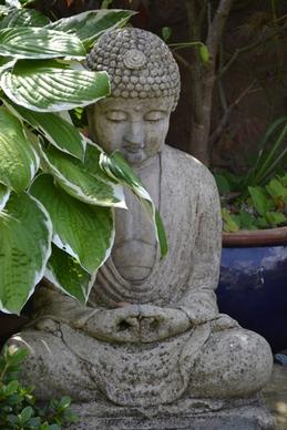 buddha hiding sacred