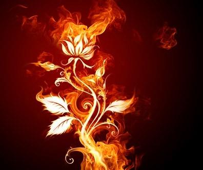 burning flowers picture