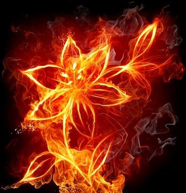burning flowers picture 4