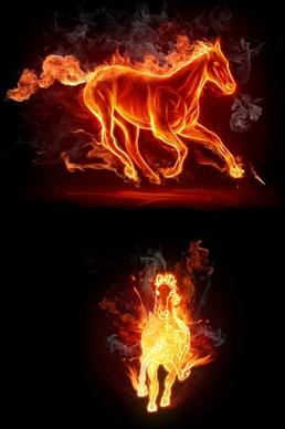 burning horse 01 hd films