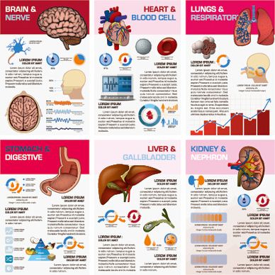 business infographic creative design28