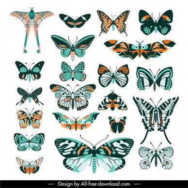 butterflies species collection colorful symmetric flat design