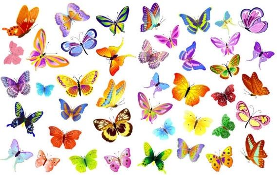 butterflies vector