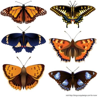 butterfly icons collection realistic colored style