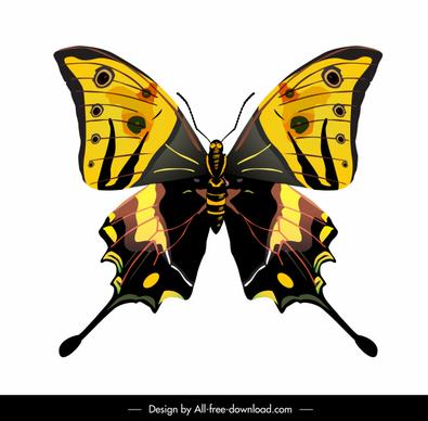 butterfly icon colorful modern flat symmetric sketch