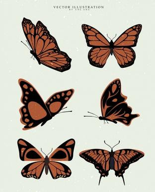 butterfly icons collection brown design various shapes