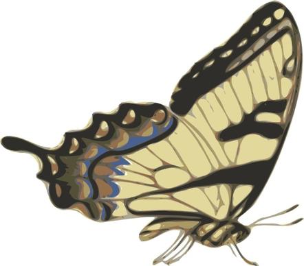 Butterfly Papilio Turnus Side View clip art