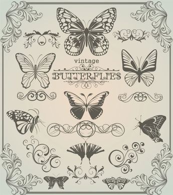 butterfly pattern 1 vector