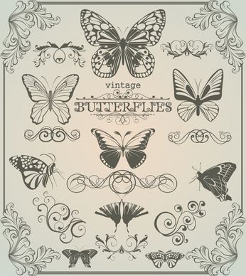 document decorative elements retro butterflies sketch symmetric shapes