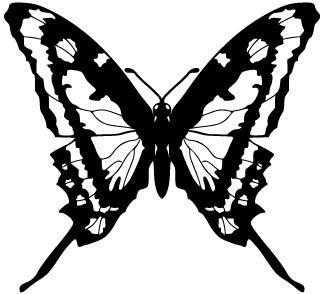 Butterfly vector