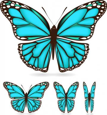 butterflies icons colored modern flat design