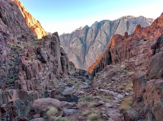 cactus canyon desert geology landscape mountain