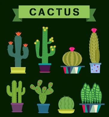 cactus icons collection various green types