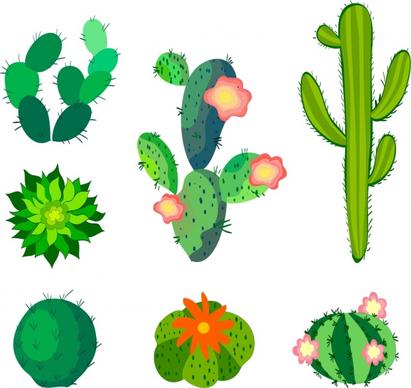 cactus icons collection various green types sketch