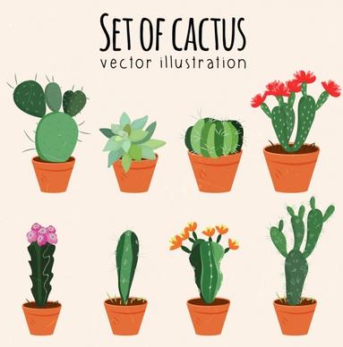 cactus pots icons various multicolored types isolation