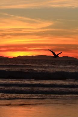 california sunset on new year039s eve
