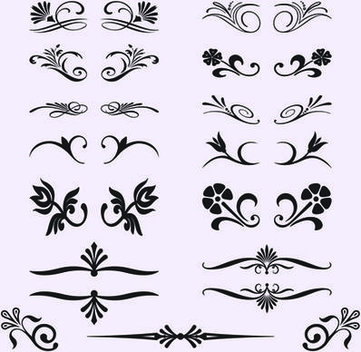 calligraphic with border ornament vector