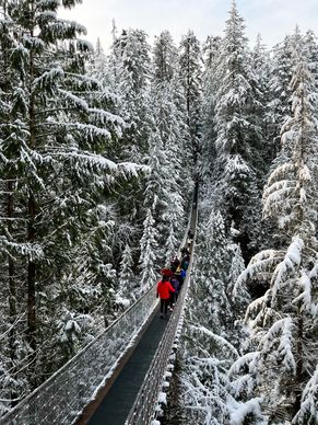canada winter scenery picture snowy forest bridge scene 