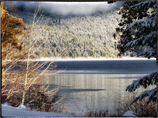canim lake sunny winter