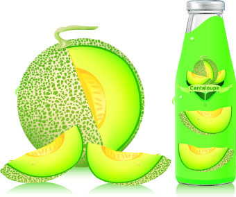 cantaloupe drinks with packing vector